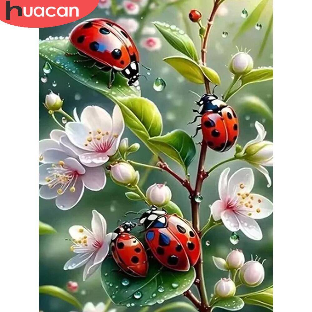Алмазная живопись HUACAN с жив – обзор и цена Embroidery Lady Bug