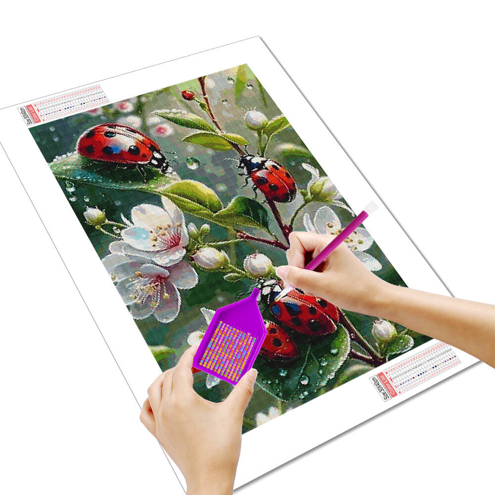 Алмазная живопись HUACAN с жив – обзор и цена Embroidery Lady Bug